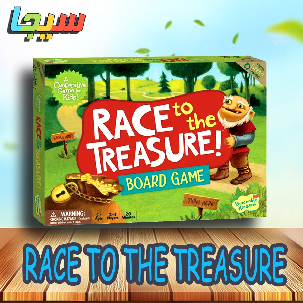 RACE TO THE TREASURE