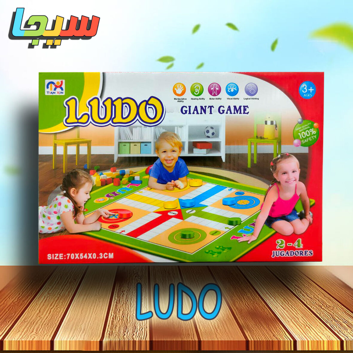 Carpet Games – LUDO