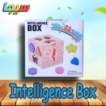 Intelligence Box