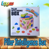 Pillar Intelligence Box